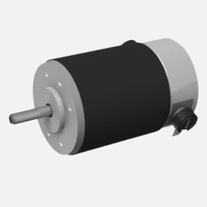 Brushed motor 54ZYT Series