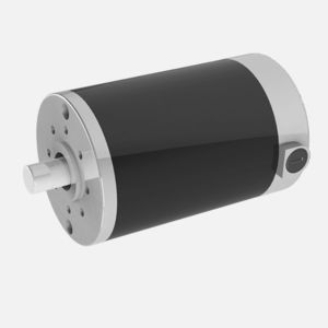 Brushed motor 80ZYT Series