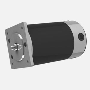 Brushed motor 100ZYT Series