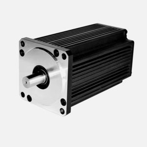 Brushless motor 110BSA Series